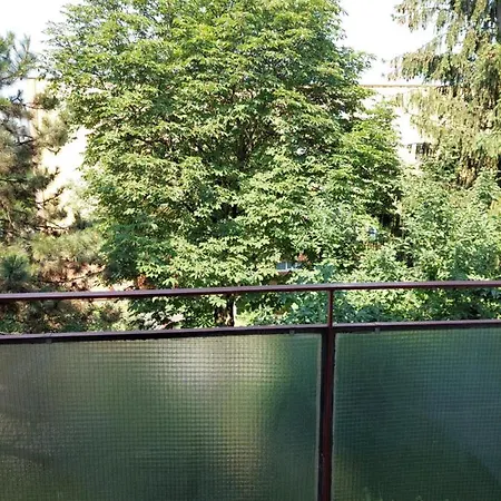 Bright And Cozy Apartment! * Cluj-Napoca