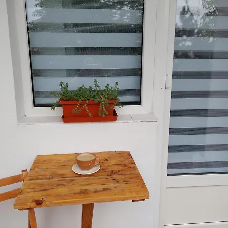 Bright And Cozy Apartment! * Cluj-Napoca